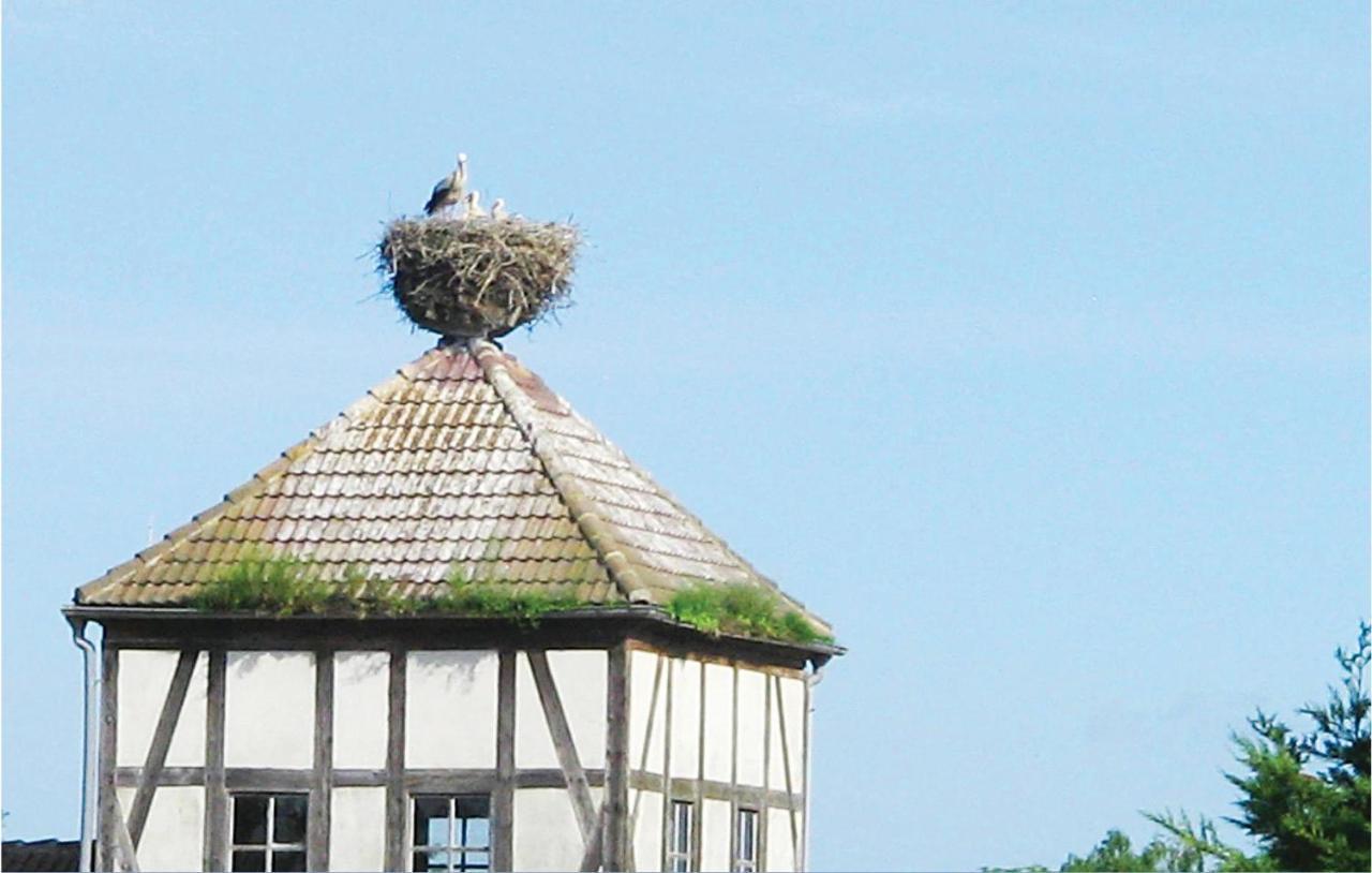 Herrenhaus Luebbenow Exterior foto